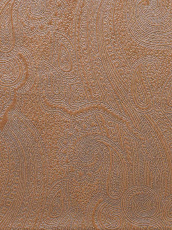 0022 CAMMELLO 