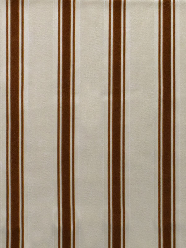 0052 CAMMELLO