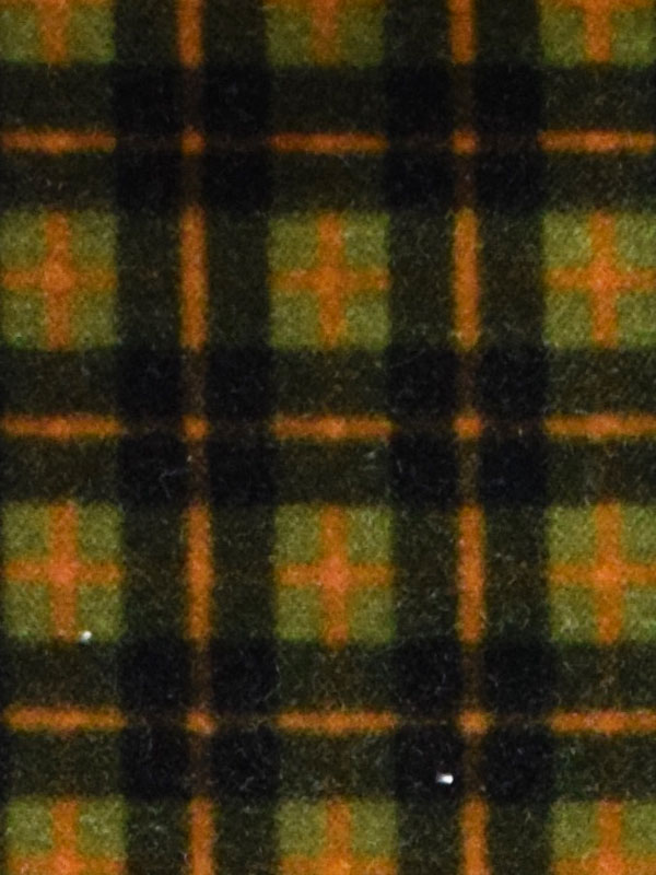 J047 OLIVASTRO