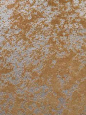 0031 CAMMELLO