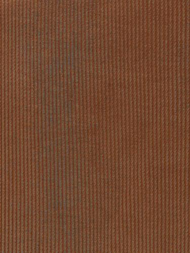 0287 ARANCIO+POLVERE