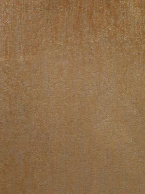0005 CAMMELLO