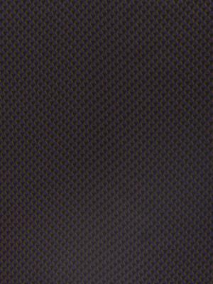 J017 CAMMELLO + VIOLA