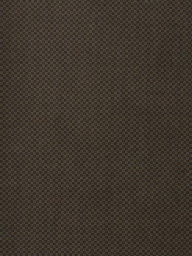 J009 CAMMELLO