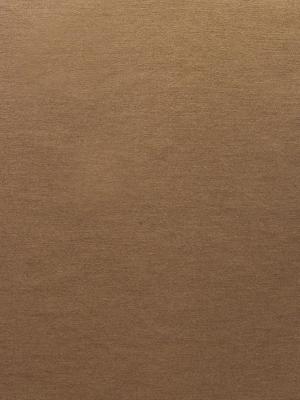 0008 CAMMELLO
