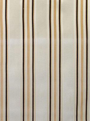0008 AVORIO