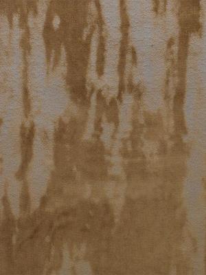 0025 CAMMELLO