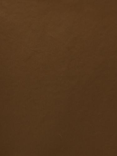 4947 VERDE + ARAGOSTA