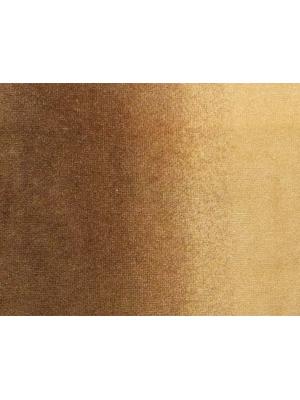 0043 CAMMELLO