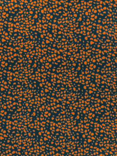 J008 BALTICO + ZUCCA
