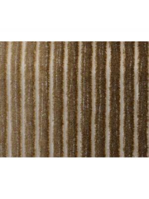 0043 CAMMELLO