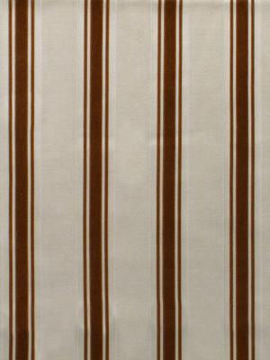 0052 CAMMELLO