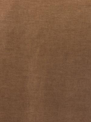 0008 CAMMELLO