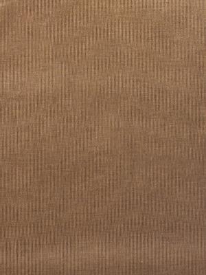 0072 CAMMELLO