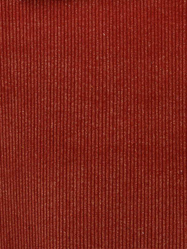 VELLUTI A COSTE LUREX - 508 L29 HL