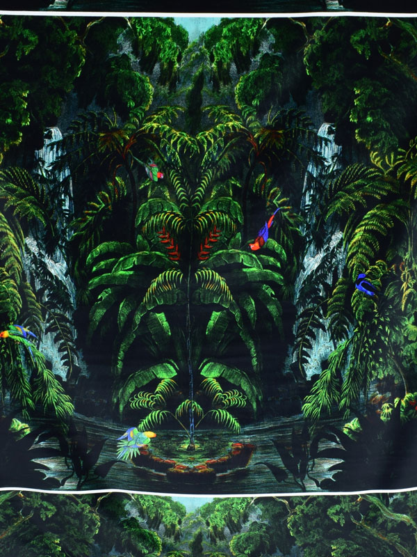 JUNGLE - 888 V97 B0