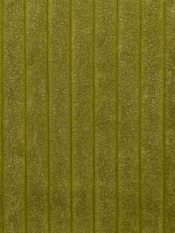 VELLUTI A COSTE LUREX - 806 L29 HR