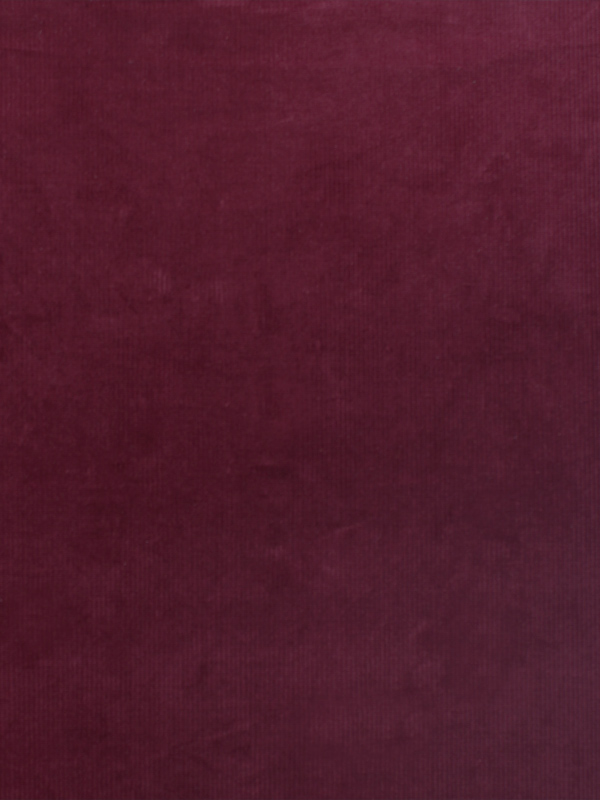 VELLUTI COSTE STRETCH - 423 000 A0