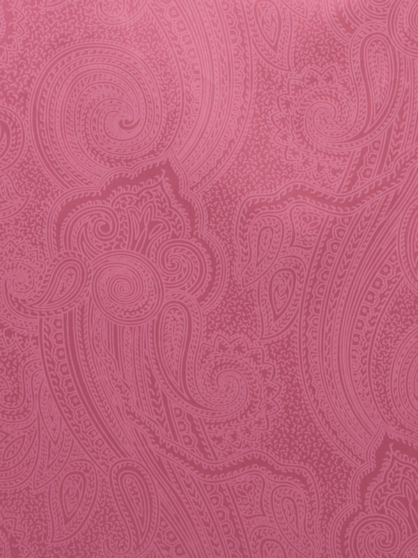 CAMICERIA MAT COLOR - P55 838 CA