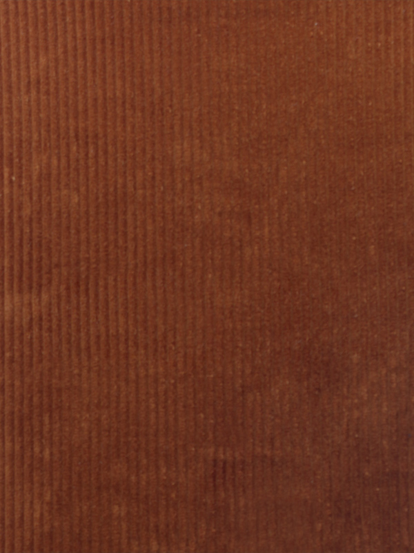 VELLUTI COSTE STRETCH - 249 000 A0