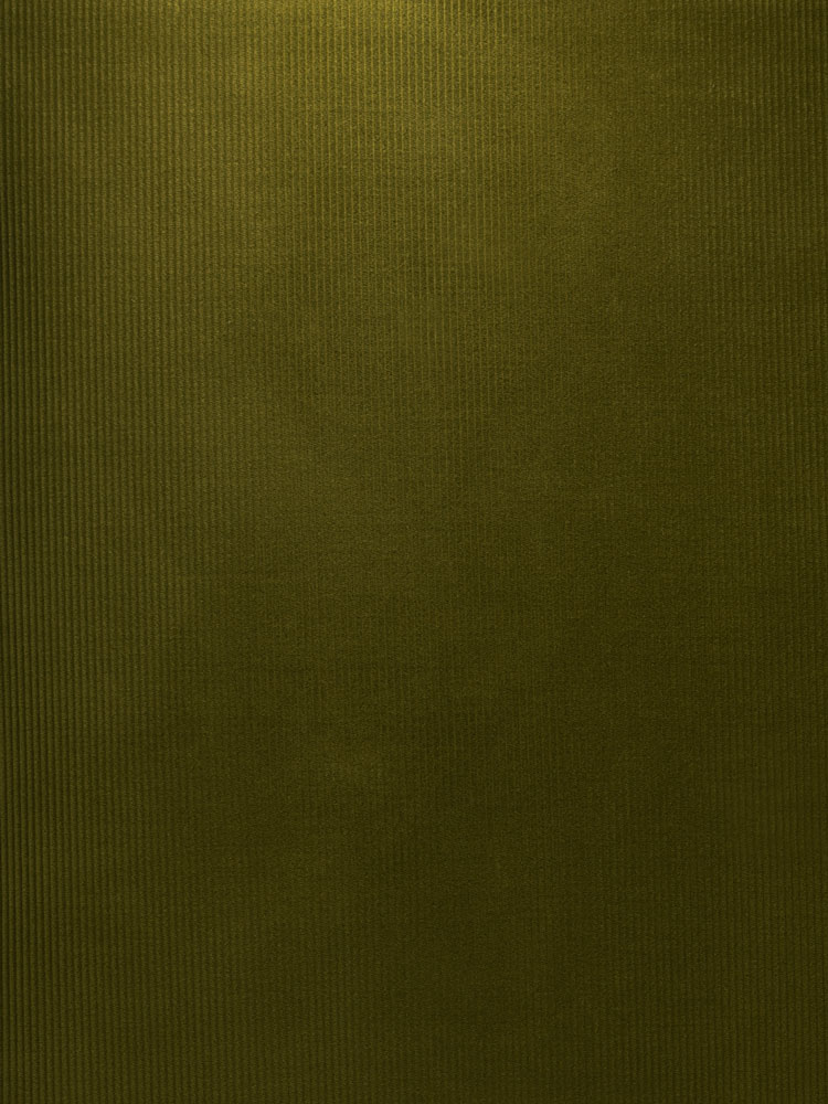 SOFT CORDUROY - 344 000 A