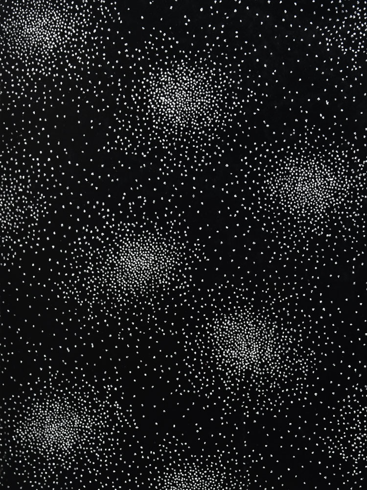 VELVET GLITTER - L31 GL7 LV