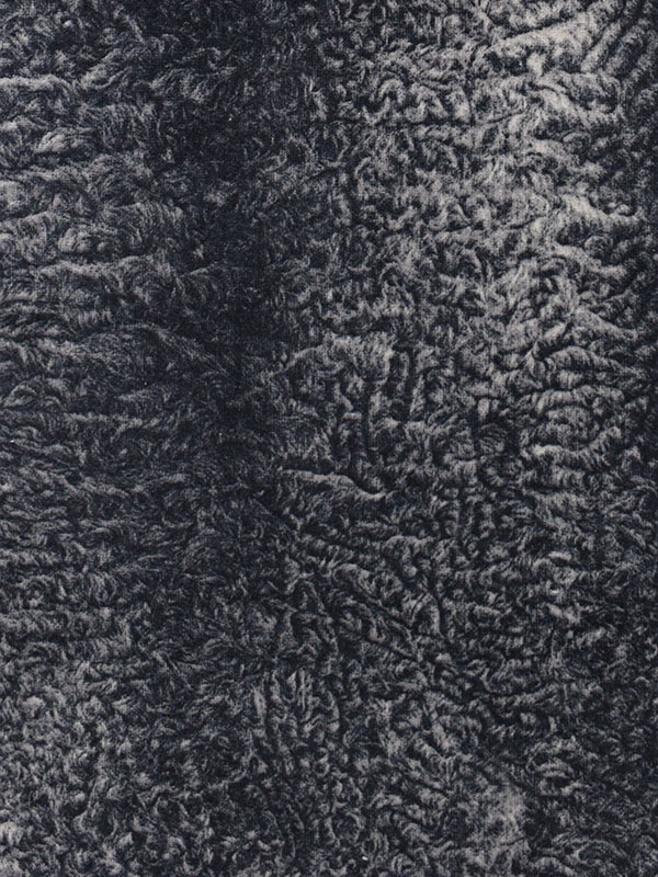ANIMALIER - 708 901 HL