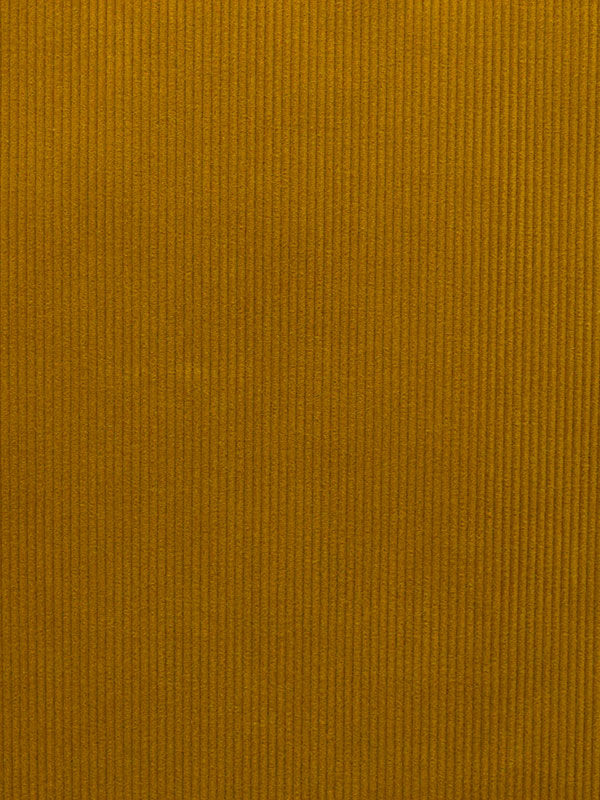 CORDUROY - 504 000 H0