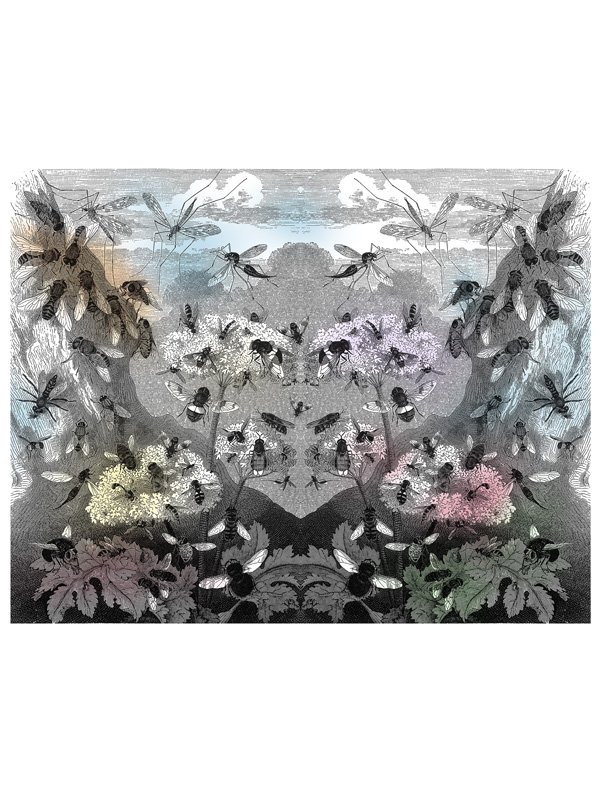 FLORA E FAUNA - P94 X07 LA