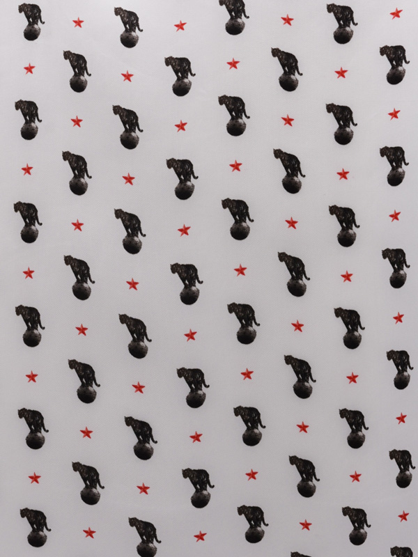 FLORA E FAUNA - 991 W79 CS