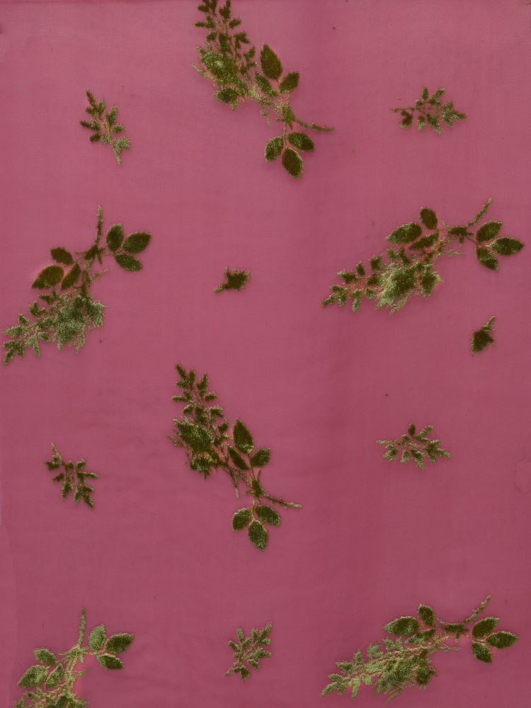 SHOT DEVORE'  - L31 X98 LV 