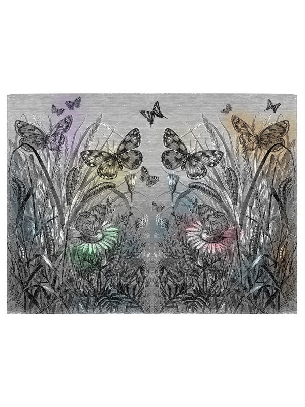 FLORA E FAUNA - P94 X04 LV