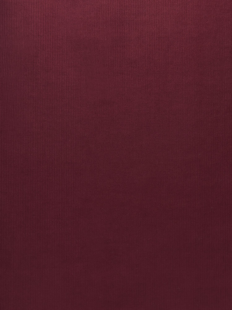 BABY CORDUROY - 641 000 LV