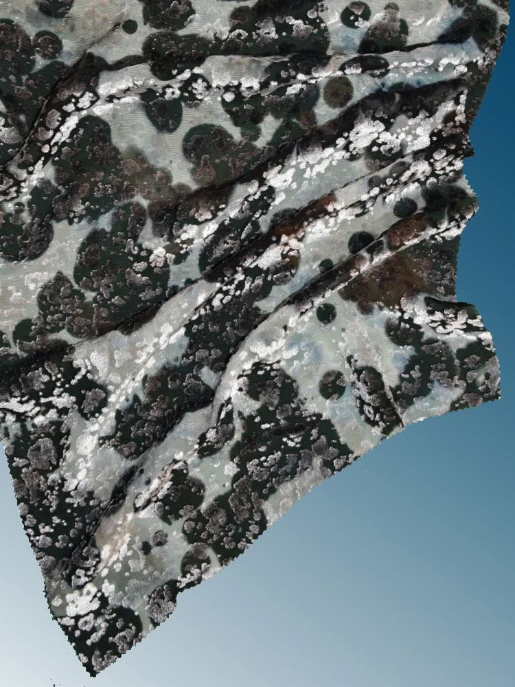 CAMOUFLAGE - L31 BF7 LV