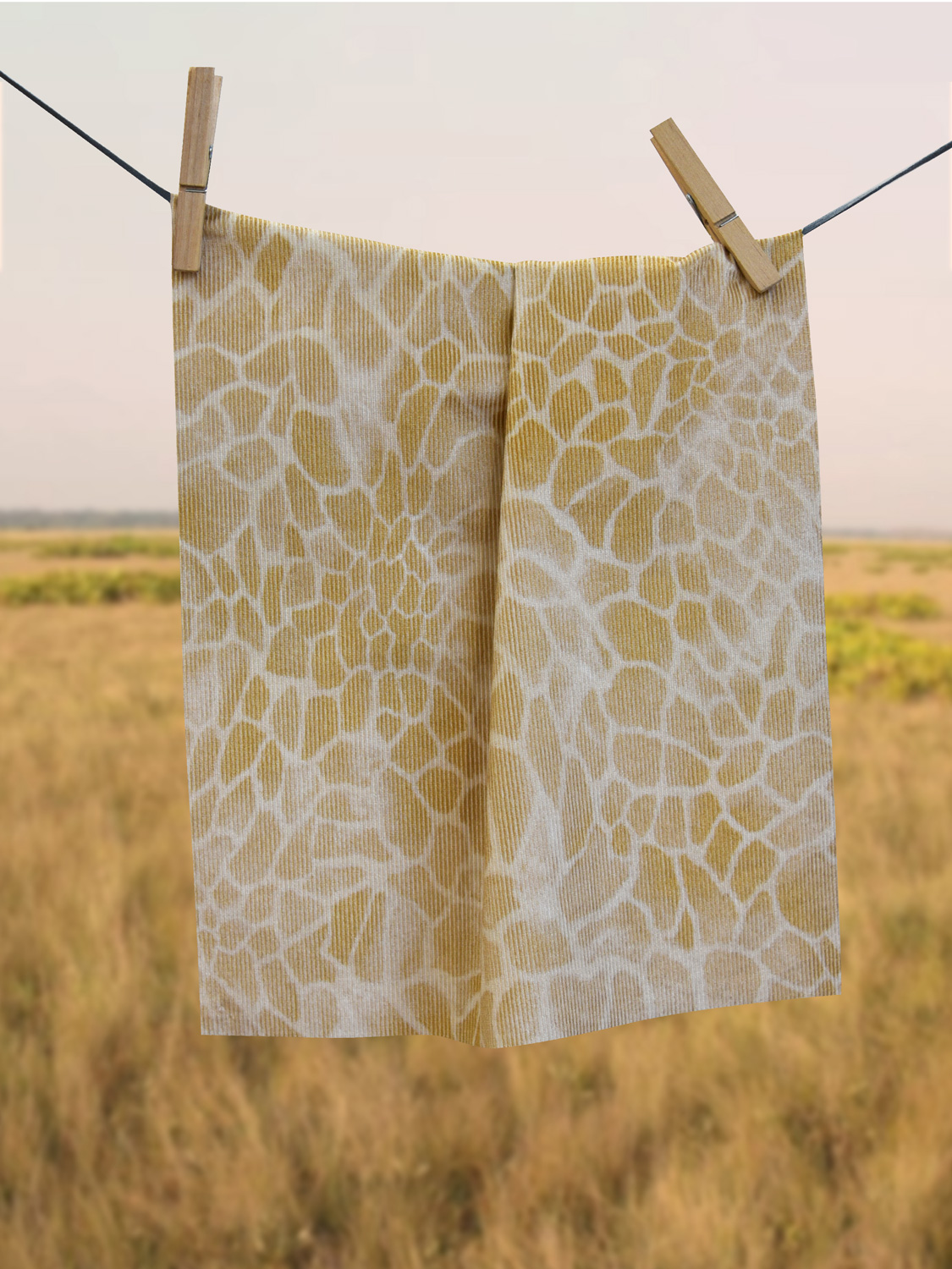 ANIMALIER - 251 EH1 LV