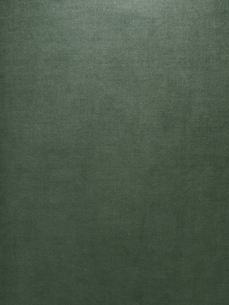 BABY CORDUROY - 620 000 PL