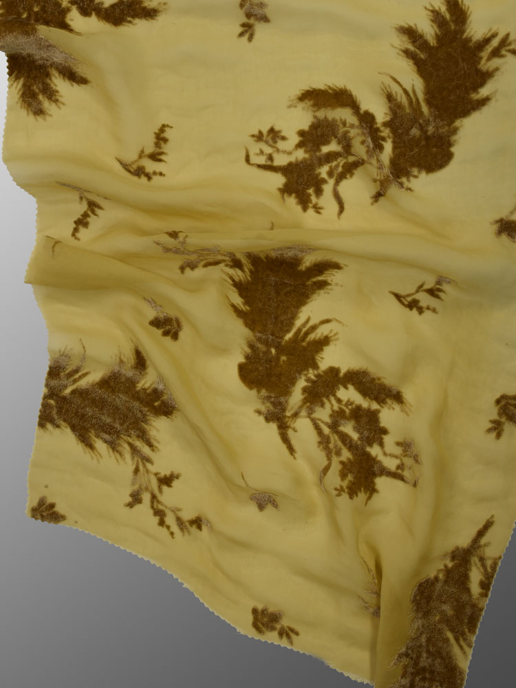 SHOT VELVET - L31 X97 LV