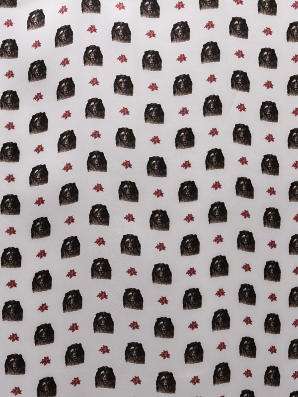 FLORA E FAUNA - 991 W80 CS