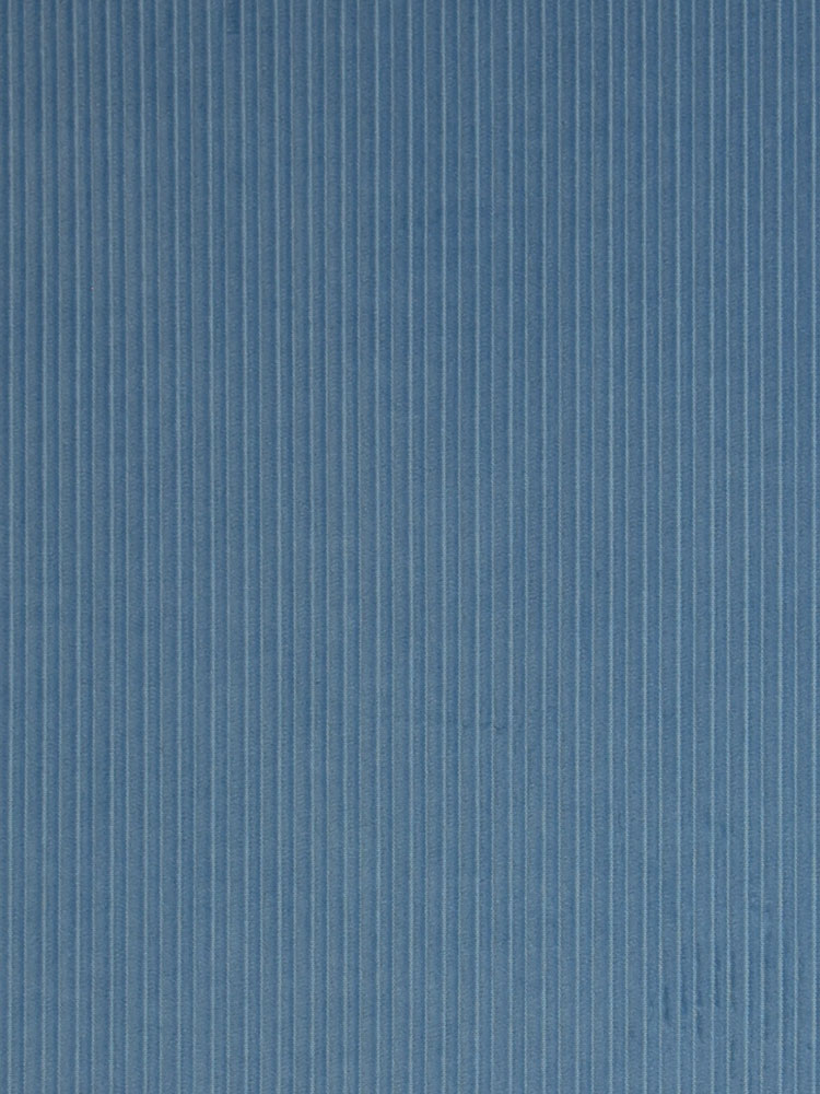 CORDUROY TAGLIO BASTONCINO - 267 000 LV