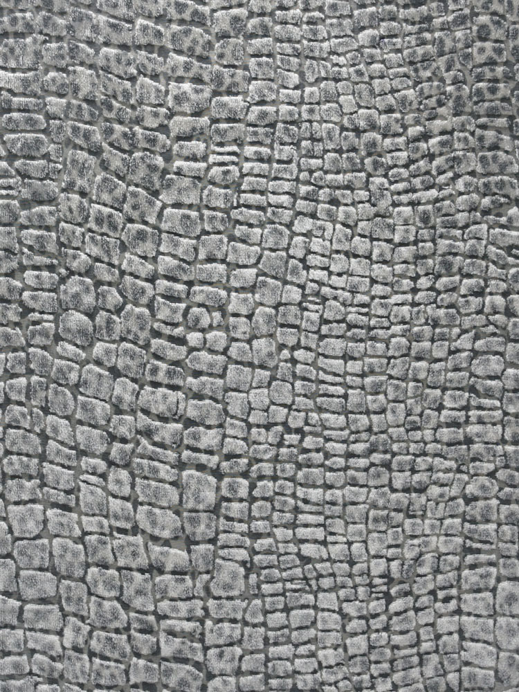 ANIMALIER WHITE - L31 AV2 LV