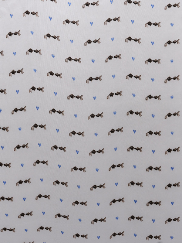 FLORA E FAUNA - 991 W76 CS