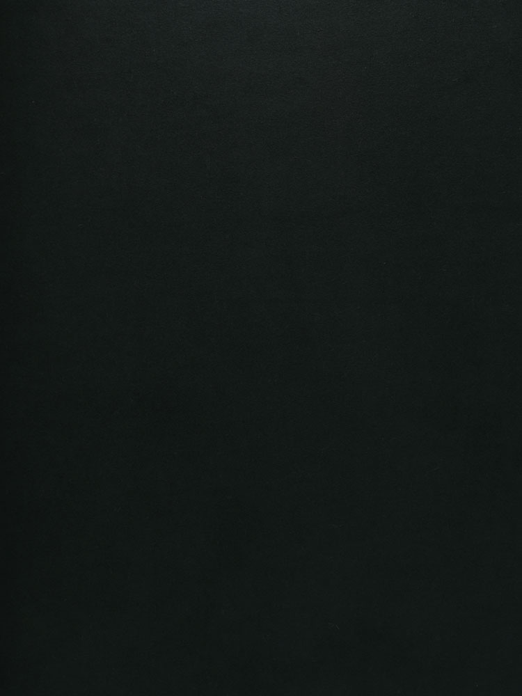 MOLESKIN - P67 000 NF 