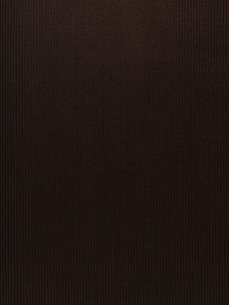 HEAVY CORDUROY - 504 000 A