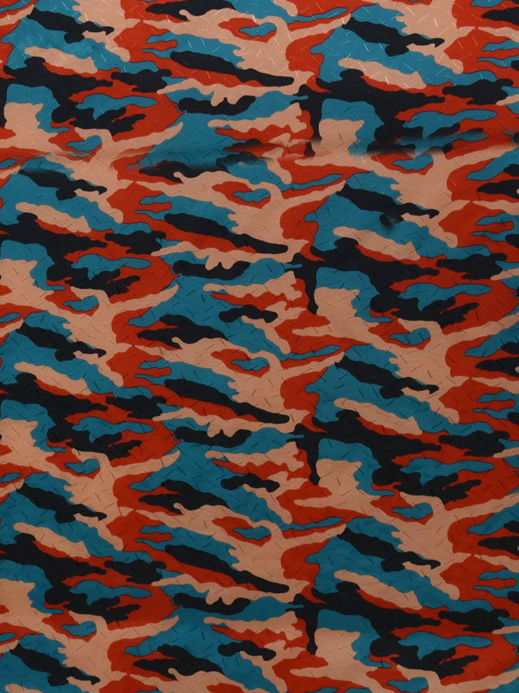 CAMOUFLAGE - E51 G93 LV 