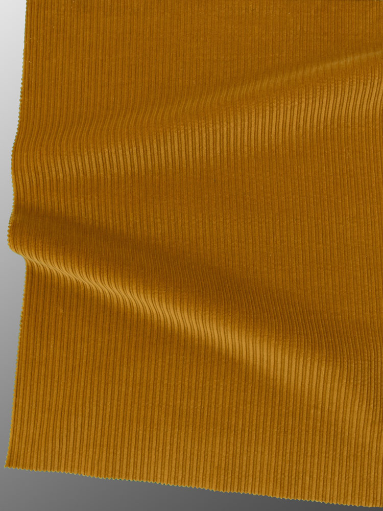 FRENCH CORDUROY - 501 000 A0