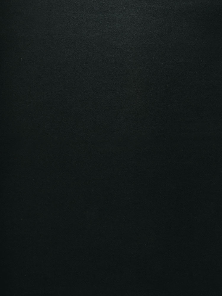 MOLESKIN - 955 000 NF 