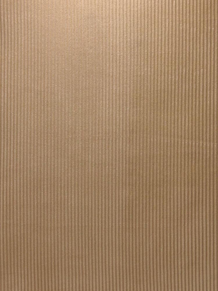 HEAVY CORDUROY - 506 000 A