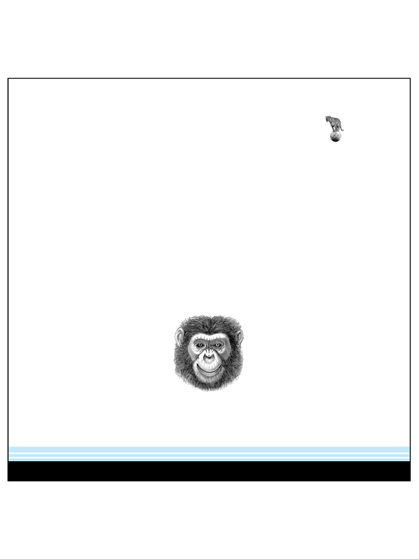 FLORA E FAUNA - E11 X23 LA