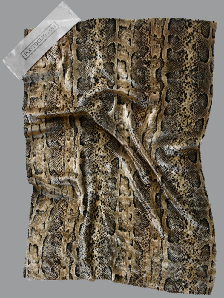 ANIMALIER - L31 IF7 LV