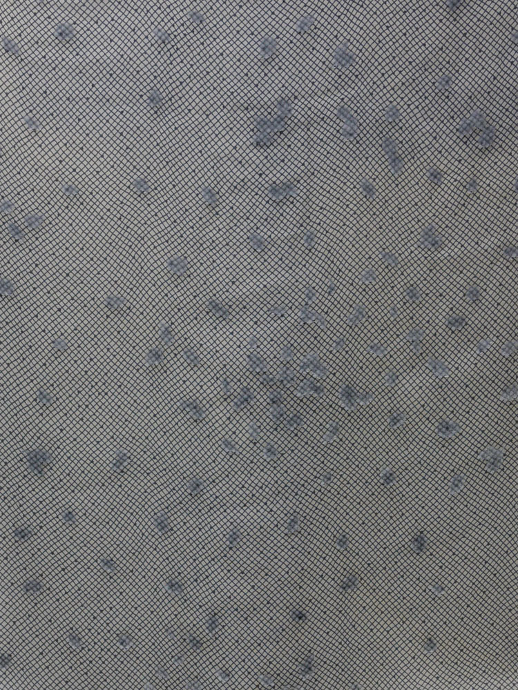 BLACK & WHITE - L31 F01 LV 